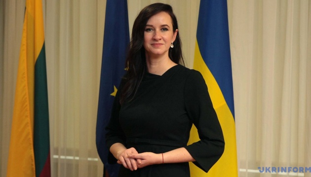  Прем'єрка Литви скликає Комісію з питань нацбезпеки після падіння дрона 