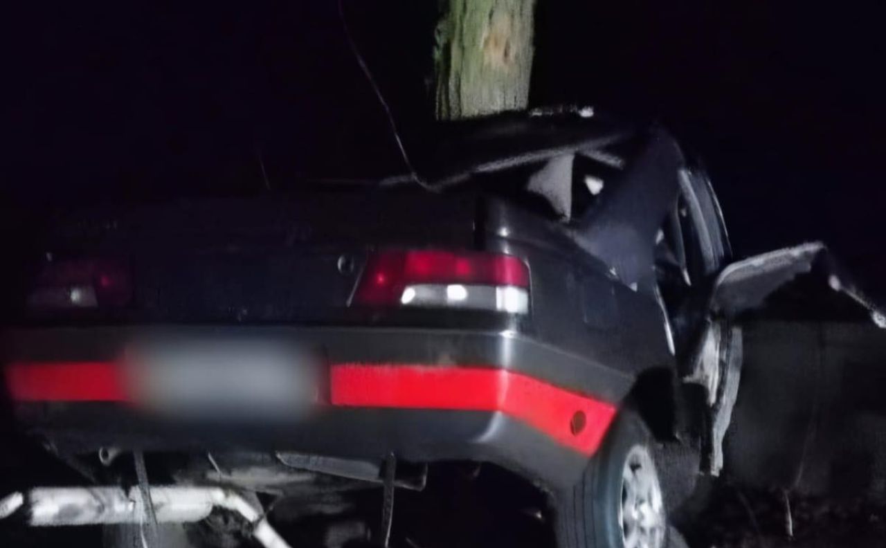  Смертельна ДТП на Київщині: молодий водій врізався у дерево 