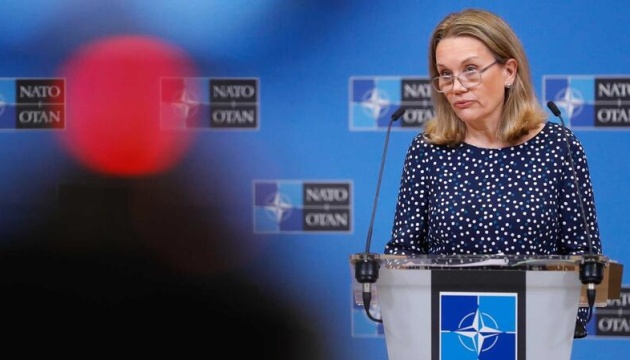  НАТО збільшує виробництво зброї та боєприпасів - посол США а Альянсі 