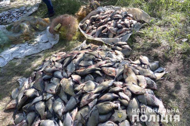  Поліцейські вилучили у браконьєрів риби на понад 200 тисяч гривень на Кіровоградщині  