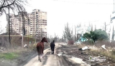 «Білі янголи» з волонтерами під обстрілами евакуювали з Авдіївки двох коней