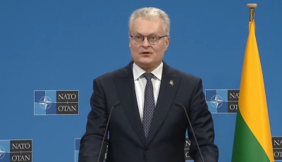 Мирний план США не має базуватися на капітуляції України, - Науседа