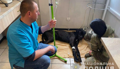 Столичні поліцейські-кінологи врятували від смерті собаку, якого покинули господарі