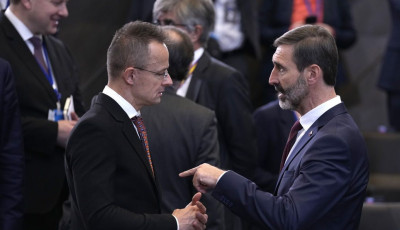 Очільник МЗС Словаччини зробив заяву про переговори ЄС з Україною