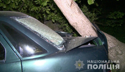 На Вінниччині нетвереза жінка збила чотирьох дітей