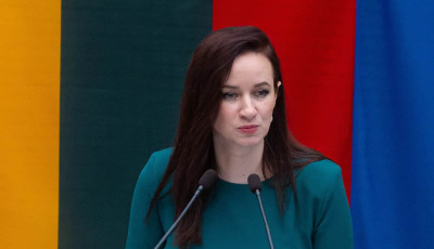 Прем'єрка Литви допустила, що країною керуватиме уряд меншості