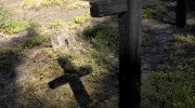 Україна дозволила ексгумацію жертв у Гуті Пеняцькій — польський IPN